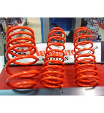 Muelles Cobra Seat Ibiza II 1.9 TDI 1993-1999 Rebaje 5 cm