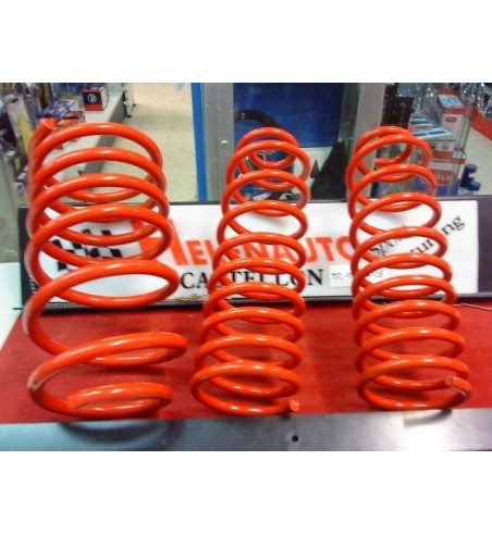 Muelles Cobra Seat Ibiza II 1.9 TDI 1993-1999 Rebaje 5 cm