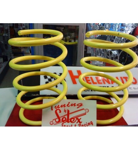 Kit Muelles y Amortiguadores Selex Renault Super 5 GT Turbo Fase II 120CV