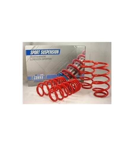 Muelles Cobra Renault Clio I 1.1 (1990–1997) Rebaje 30 mm