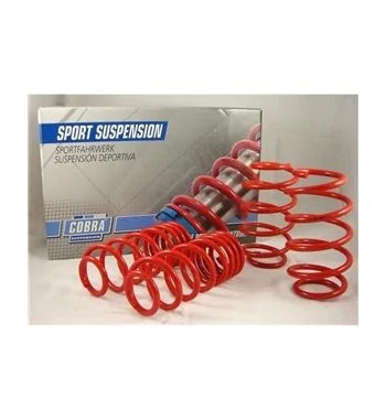 Muelles Cobra Peugeot 306 S16 2.0 16V (1994–2001) Rebaje 40 mm