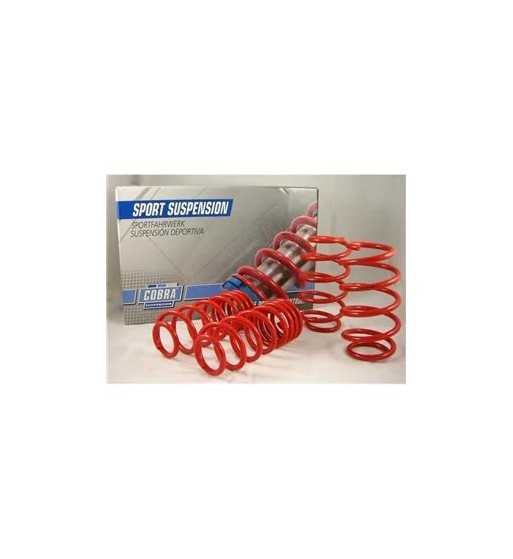 Muelles Cobra Peugeot 306 S16 2.0 16V (1994–2001) Rebaje 40 mm