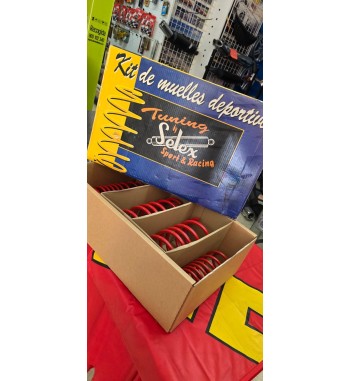 Muelles Selex Volkswagen Polo 1.4 16V (2000) Ref. 28080