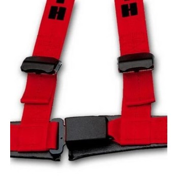 Arnés Schroth Rallye 3 ASM Flock Rojo